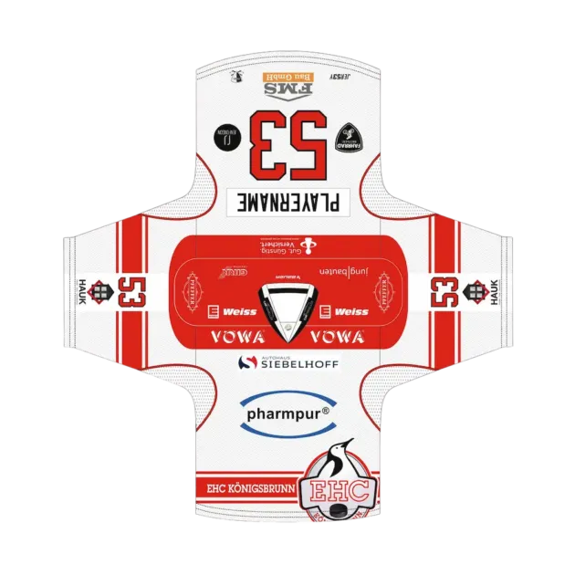 Offizielles Auswärtstrikot 2025/26